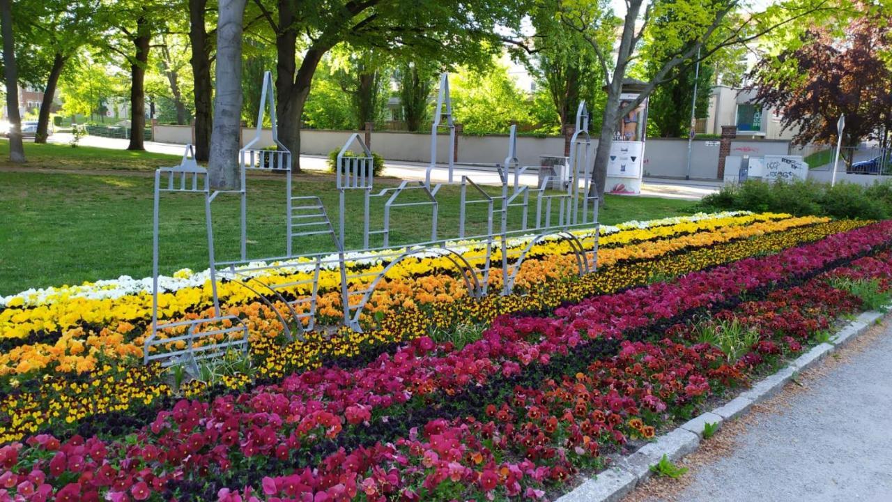 Alte Baeckerei Bautzen - 01 #Family# Im Zentrum, Mit Parkplatz, Top Ausgestattet Dış mekan fotoğraf